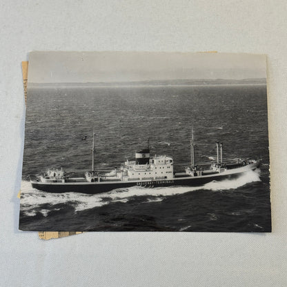 Vintage Ship Boat Photo Photograph Print MV Sunamelia 1954