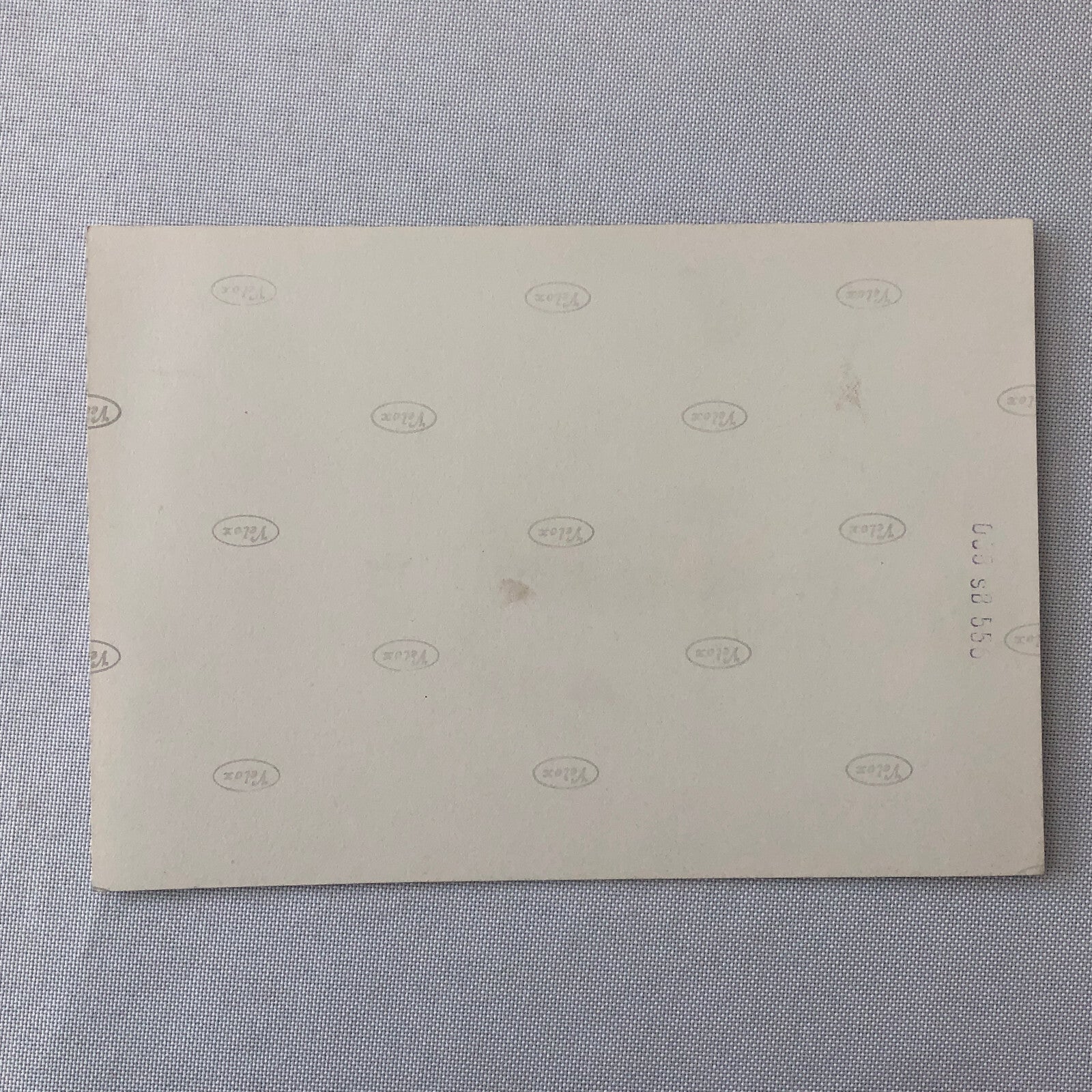 Circus Painting Vintage Photo Photograph Snake Camel Birds Animal Act