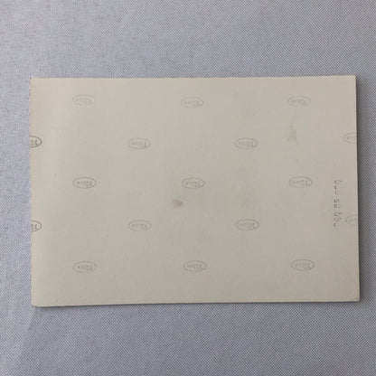 Circus Painting Vintage Photo Photograph Snake Camel Birds Animal Act