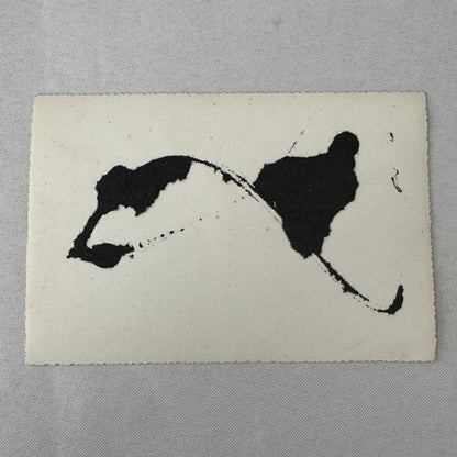 Vintage Pininfarina Coachbuilder Car Photo Photograph Print Unidentified