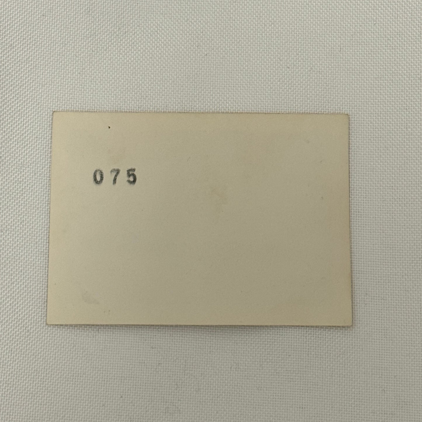 1950 New York Yankees Photo Photograph Snapshot Baseball NY Vintage