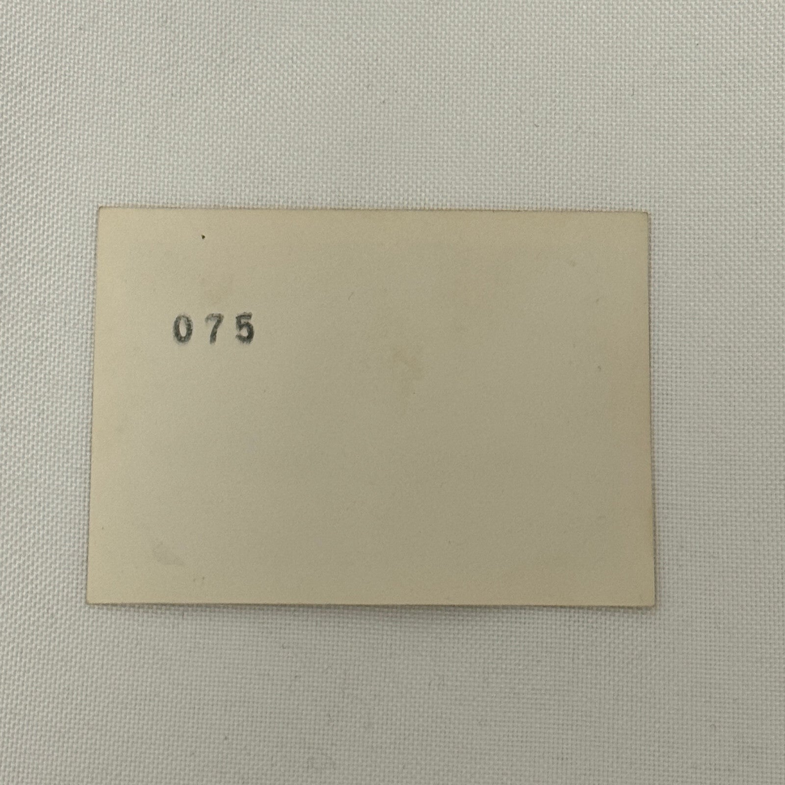 1950 New York Yankees Photo Photograph Snapshot Baseball NY Vintage