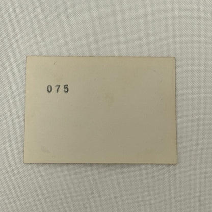 1950 New York Yankees Photo Photograph Snapshot Baseball NY Vintage