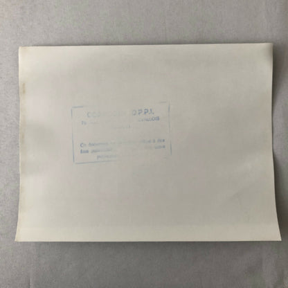 Vintage 1975 Formula 2 F2 Racing Photo Photograph Salzburg Bernard De Dryver 