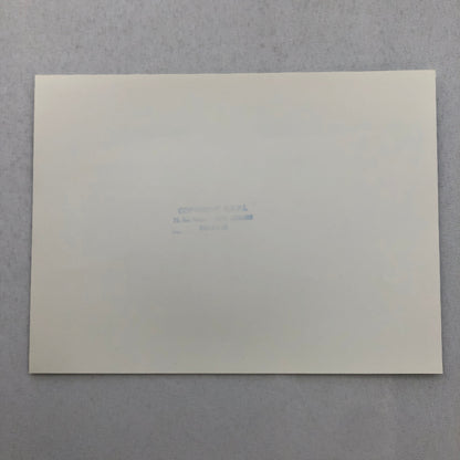 1980 Transafrica Rally Rallye Photo Photograph DPPI Iveco Renault Truck