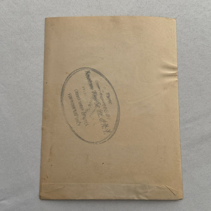 Prince Erik of Denmark Royalty Press Photo w/ Caption – Keystone View Co. 1920s