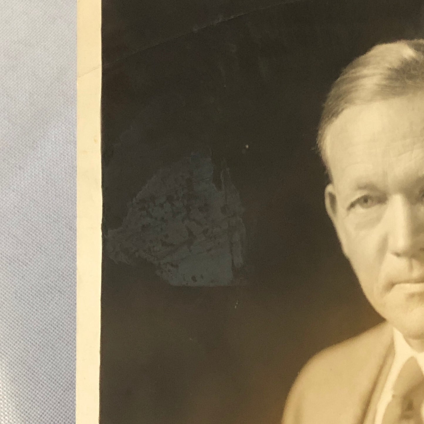 Press Photo Photograph Senator Charles L McNary Oregon Underwood Photo 1931