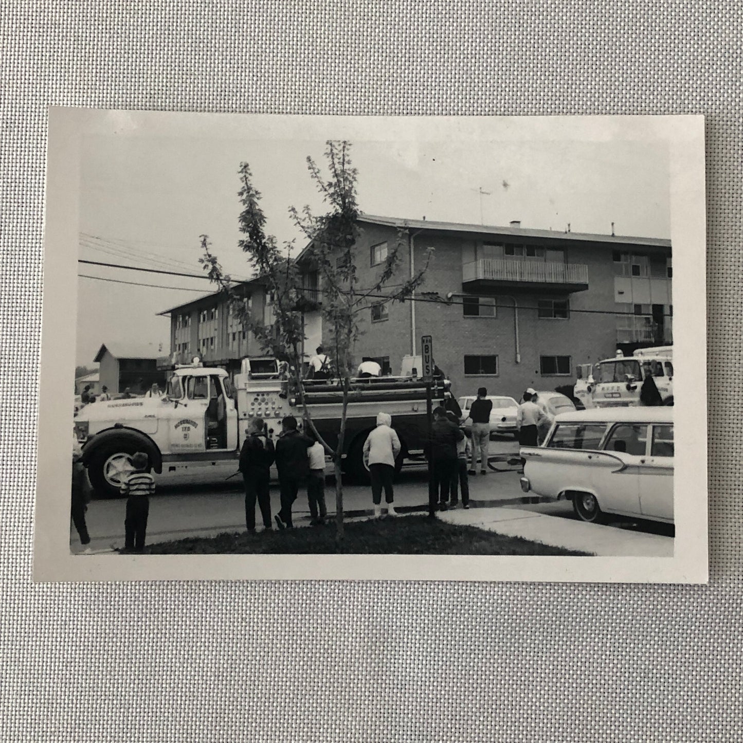 Vintage Fire Truck Firefighter Firefighting Photo Photograph Lot of 3 Cars +