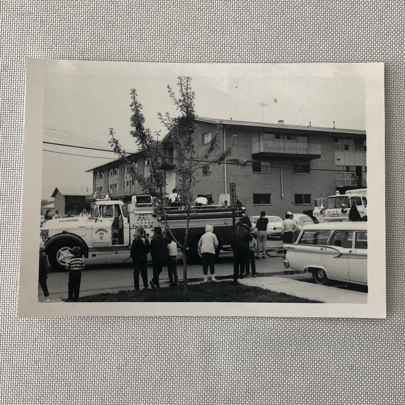 Vintage Fire Truck Firefighter Firefighting Photo Photograph Lot of 3 Cars +