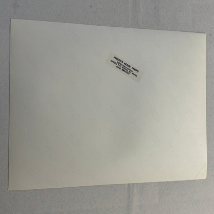 Vintage Skydiving Parachute Photo Large Format Aviation Photograph 1970s-80s