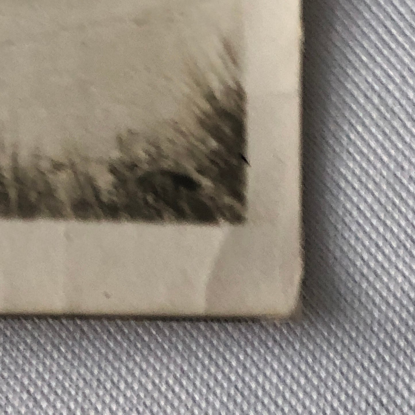 Vintage Racing Photo Photograph Print - Alfa Romeo Branger Photo Paris