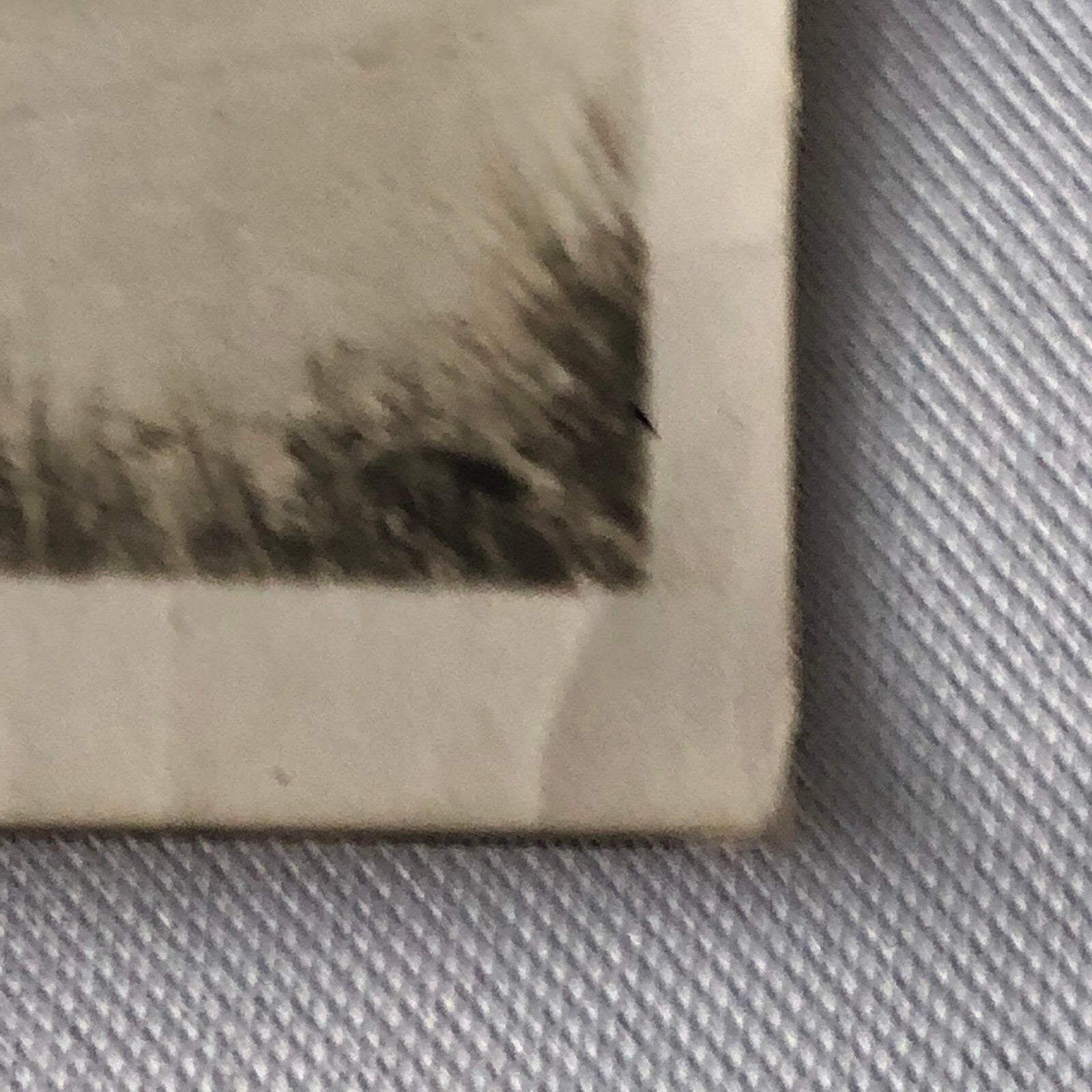 Vintage Racing Photo Photograph Print - Alfa Romeo Branger Photo Paris