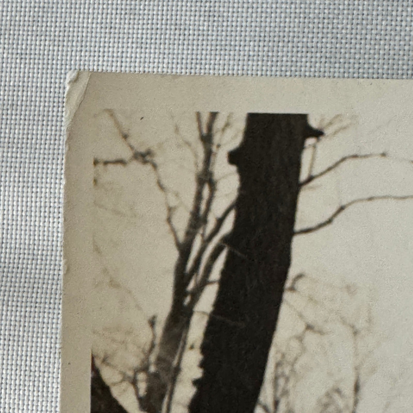 Bordentown Military Institute Cadets George Washington Tribute Press Photo Canon