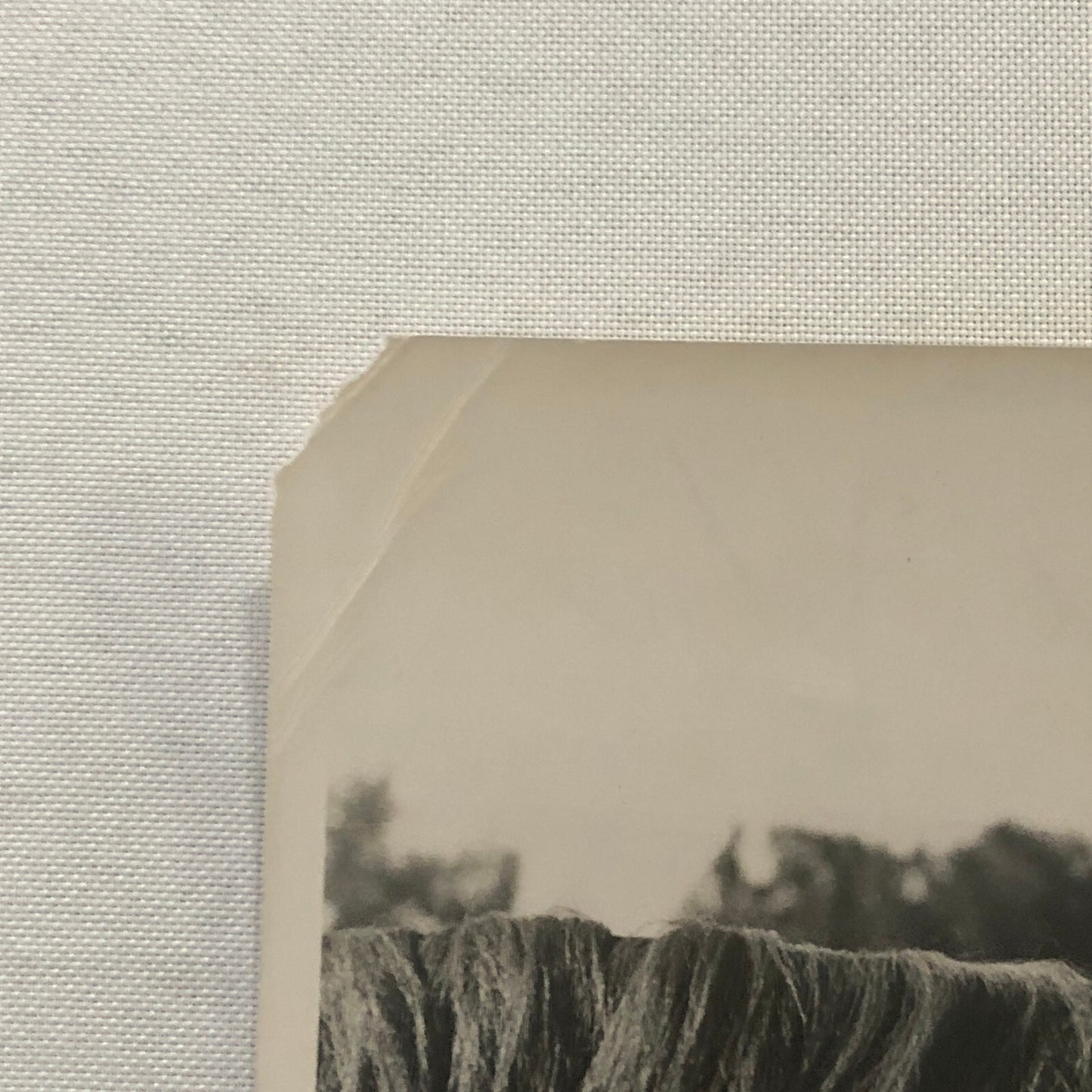 Vintage Horse Racing Photo Photograph Queens Own John Delisle