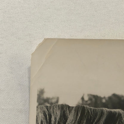 Vintage Horse Racing Photo Photograph Queens Own John Delisle