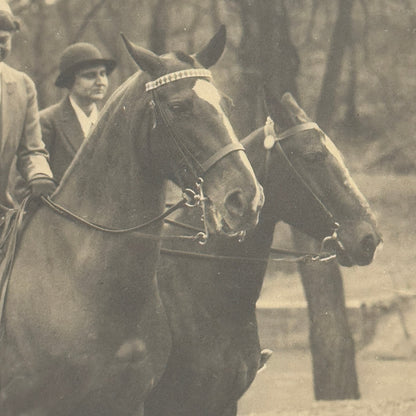 Press Photo Photograph First Lady Eleanor Roosevelt on Horse Horseback 1933