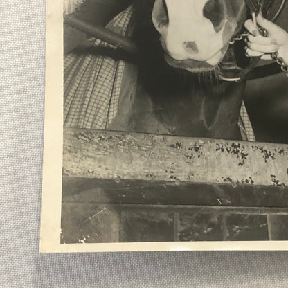 Vintage Horse Racing Photo Photograph TUROFSKY