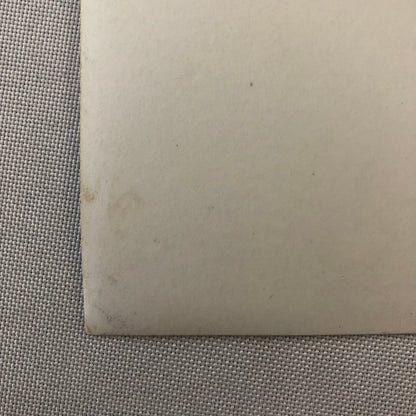 Vintage Motorcycle Sidecar Racing Photo photograph Rider Side Car