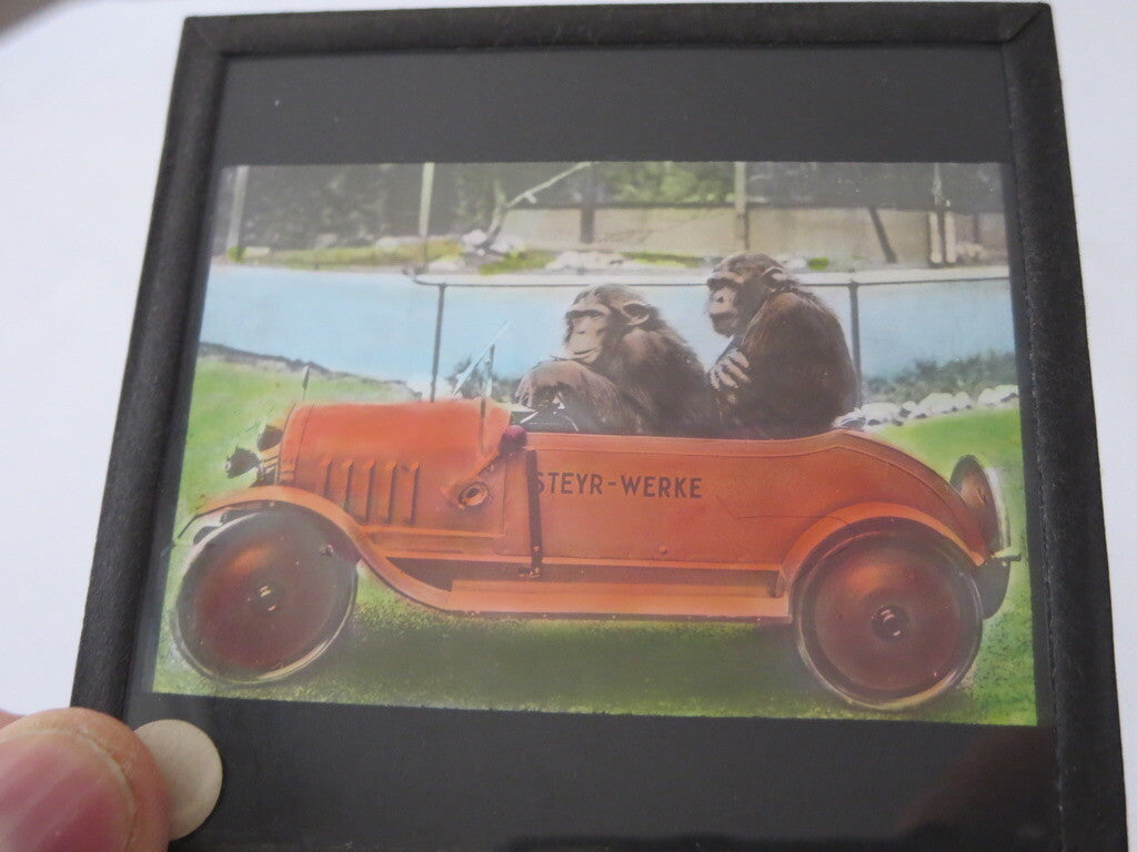 Vintage Glass Advertising Magic Lantern Slide - Steyr Werke Car w/ Monkey Chimp
