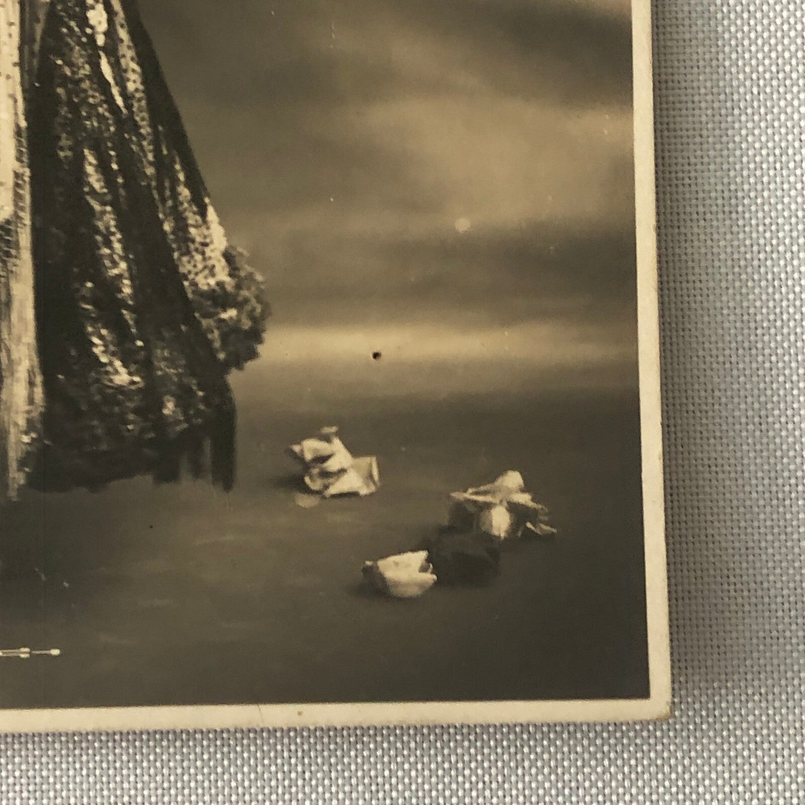 Dancer Circus Performer Cabaret Opera Photo Photograph Print Carmen