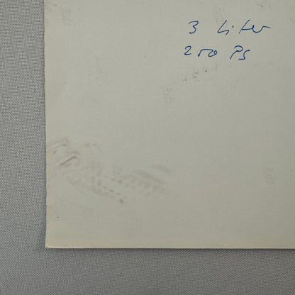 1978 Porsche 911 SC Safari Rally Rallye Car Photo Photograph