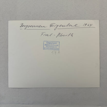 Fiat Abarth Racing Car 1964 Photo Photograph Modern Print