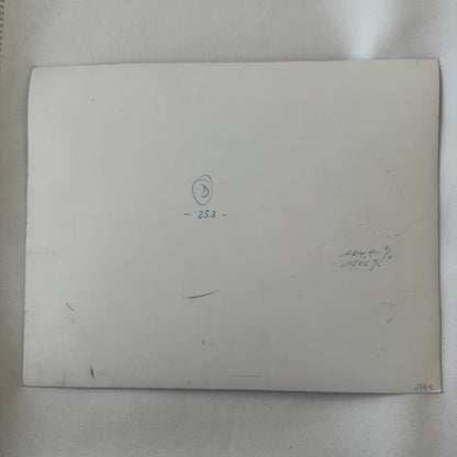 Vintage Porsche Racing Photo Photograph Print Race Car