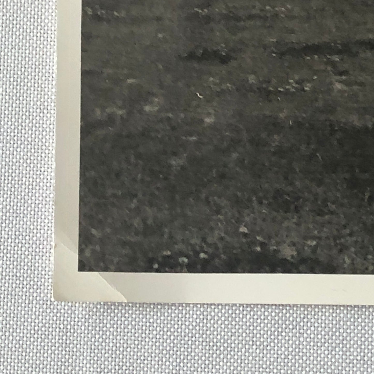 Native American Indian Aboriginal Man on Horseback Circus Photo Photograph