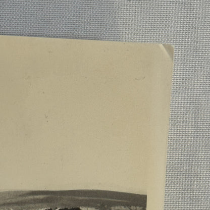 Vintage Volkswagen VW Beetle Bug Photo Photograph Super Beetle with 1949