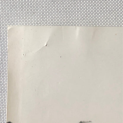 Vintage Racing Photo Photograph BRM Jean Piere Beltoise 1974 ?