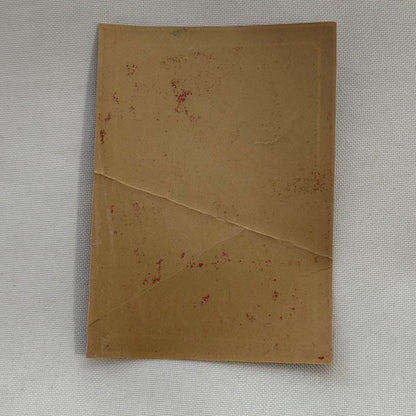 Vintage Travel Luggage Label Arizona State