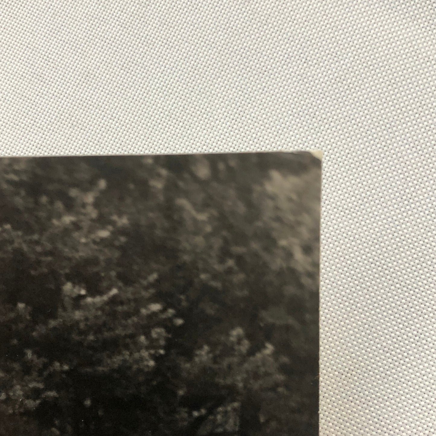 Vintage Volkswagen VW Beetle Factory Press Photo Photograph Print