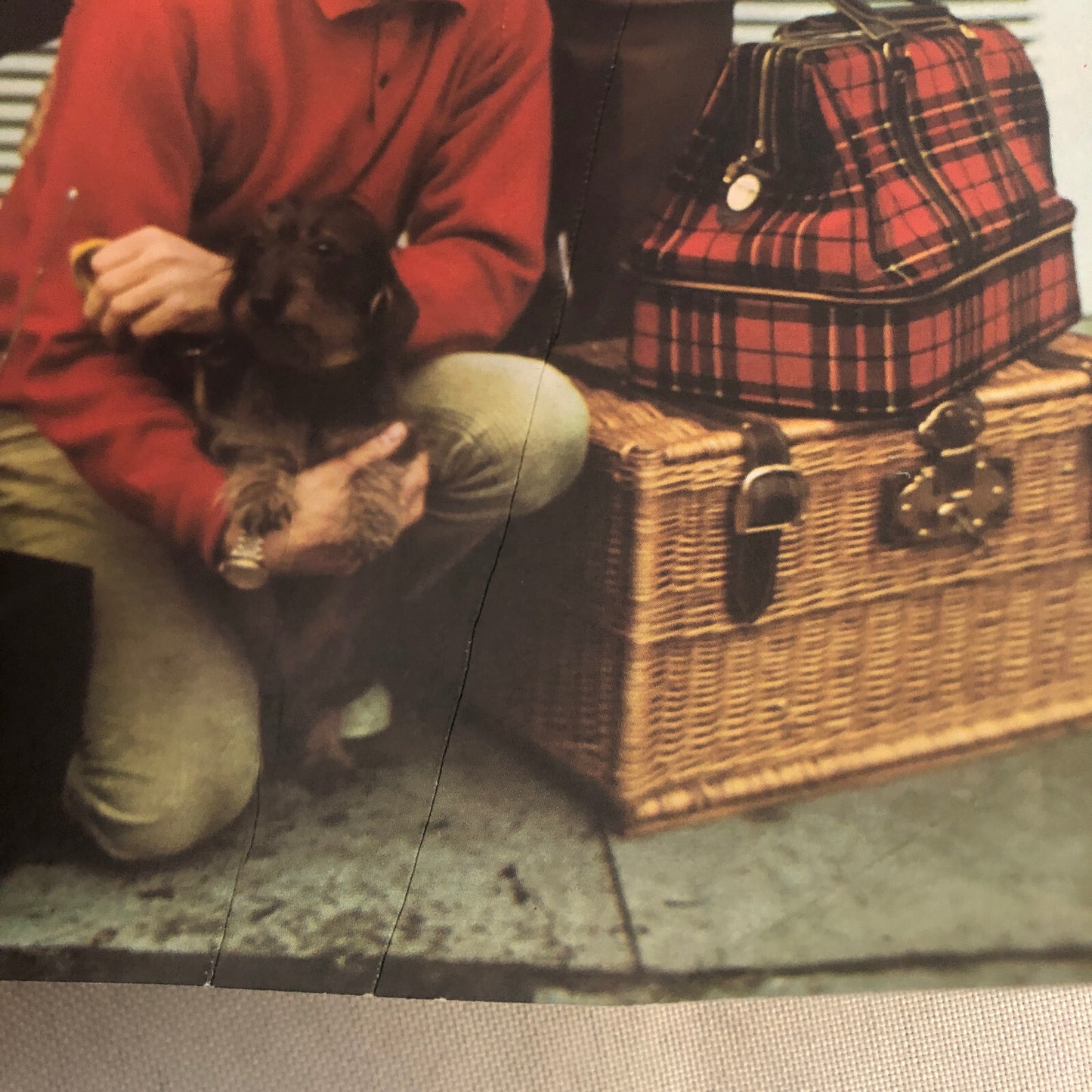 Honda N360 Car Sales Brochure Catalog GERMAN Text European Vintage Honda N 360