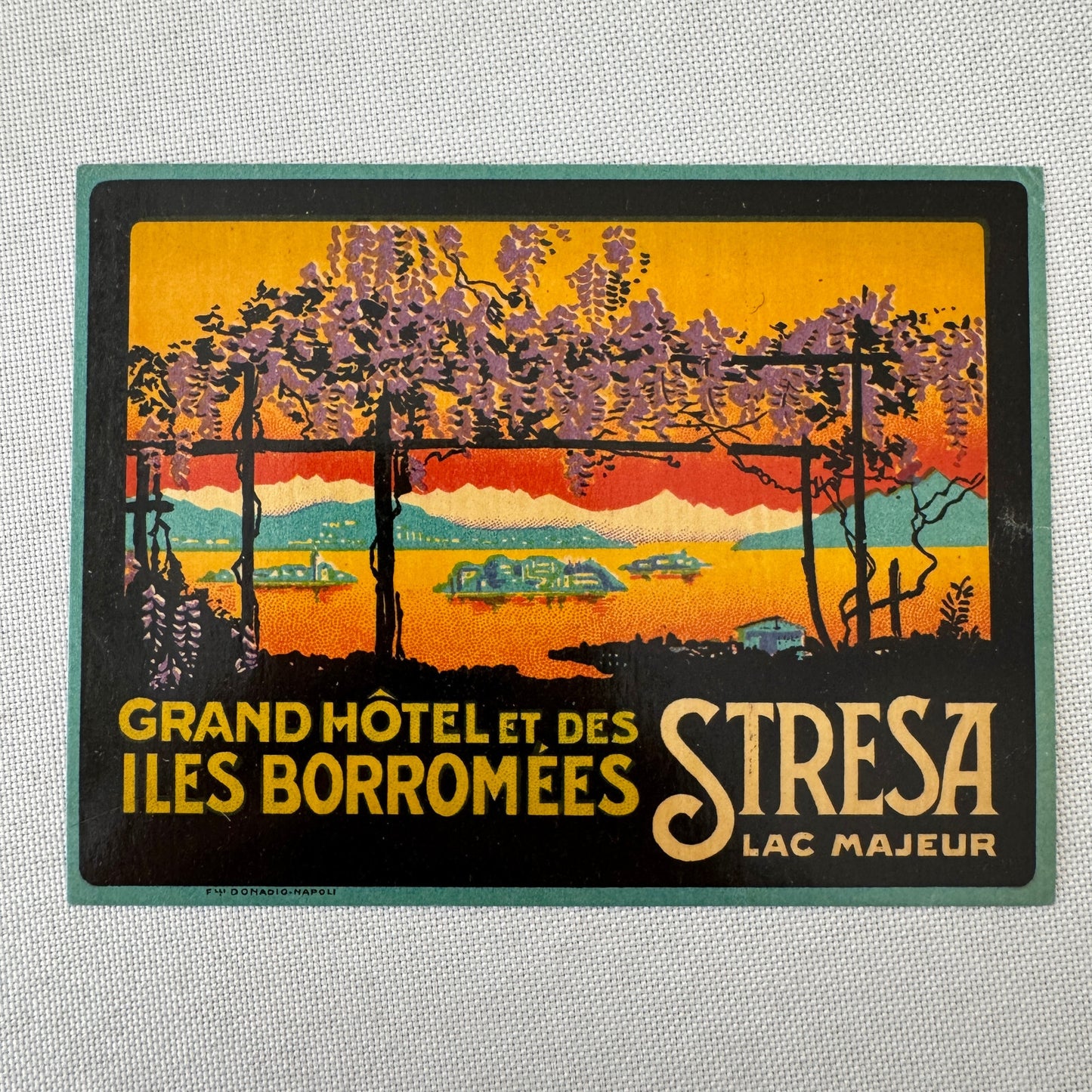 Vintage Hotel Travel Luggage Label Regina Palace Stresa Lac Majeur Italy