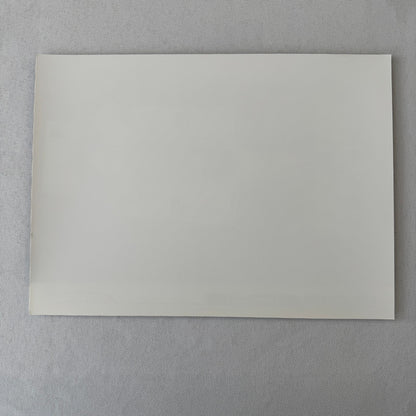 Porsche Quaker State Indy Car Racing Factory Press Photo Photograph Print