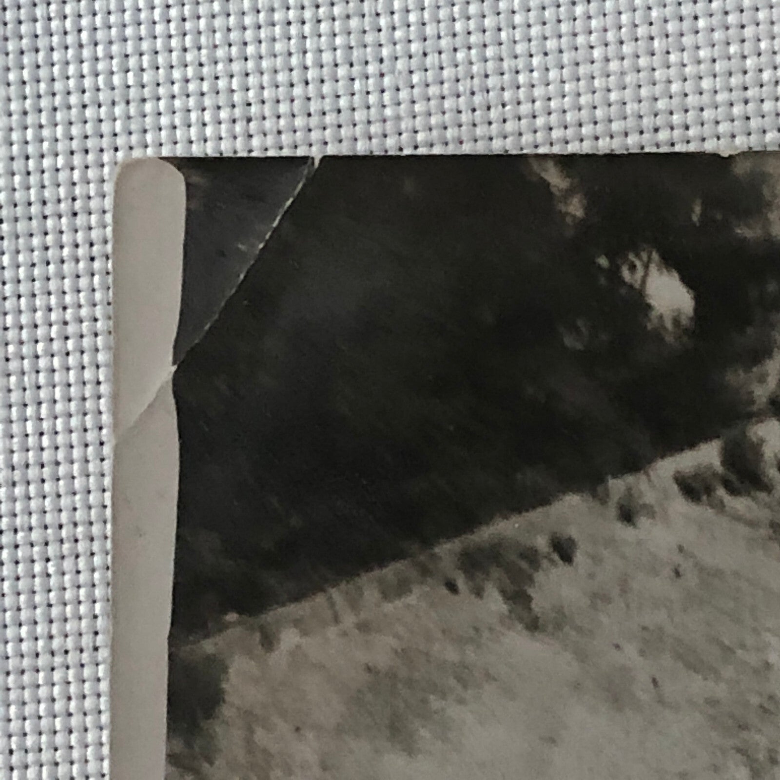 Vintage Antique Car Automobile Photo Photograph Print Rally Racing ? 