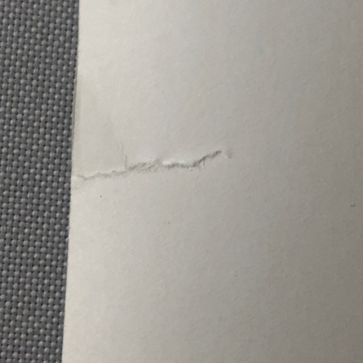 Vintage Movie Press Photo Photograph Print Sally Fields +