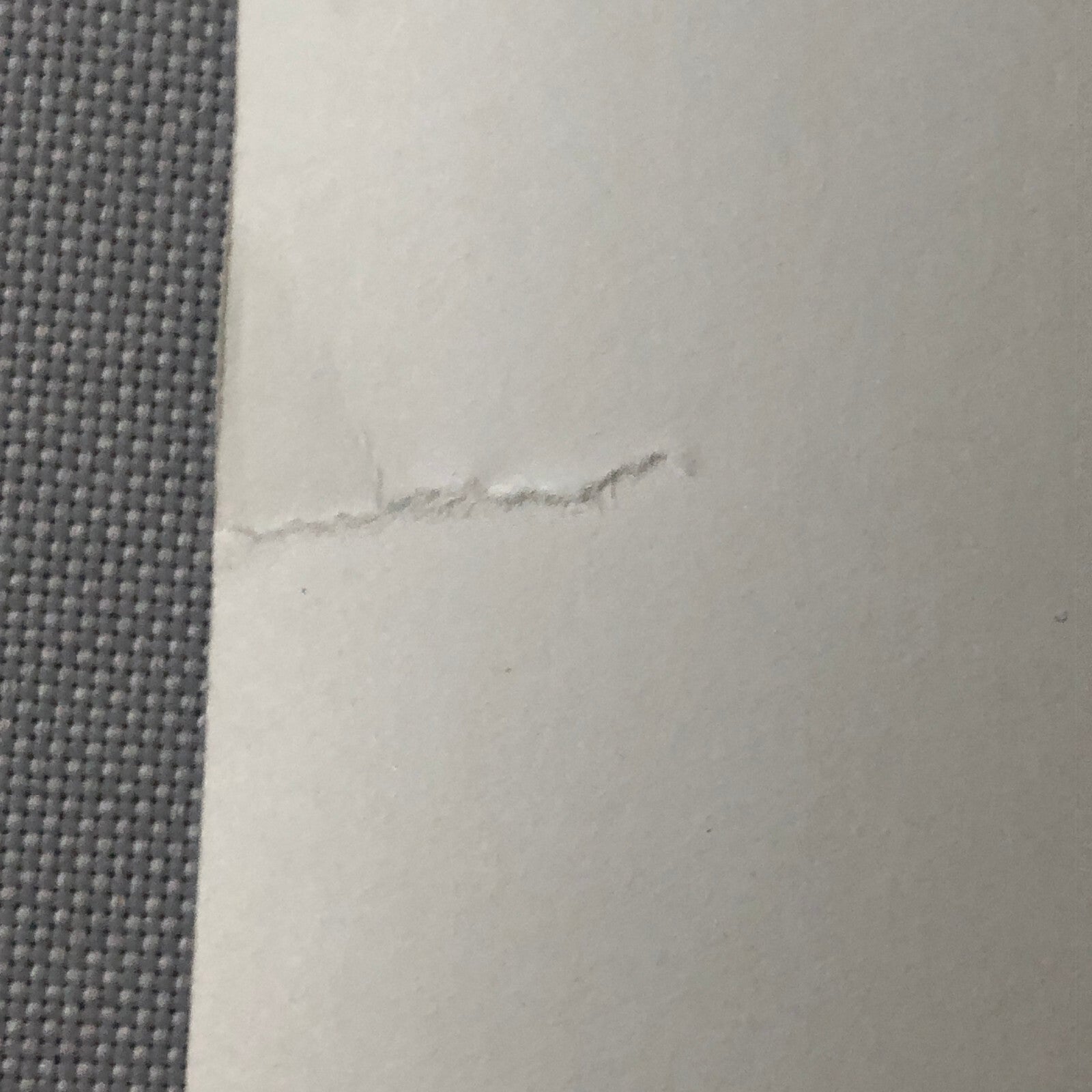 Vintage Movie Press Photo Photograph Print Sally Fields +