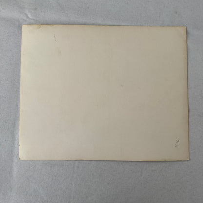 Vintage Movie Film Press Photo Photograph The Great Waltz MGM