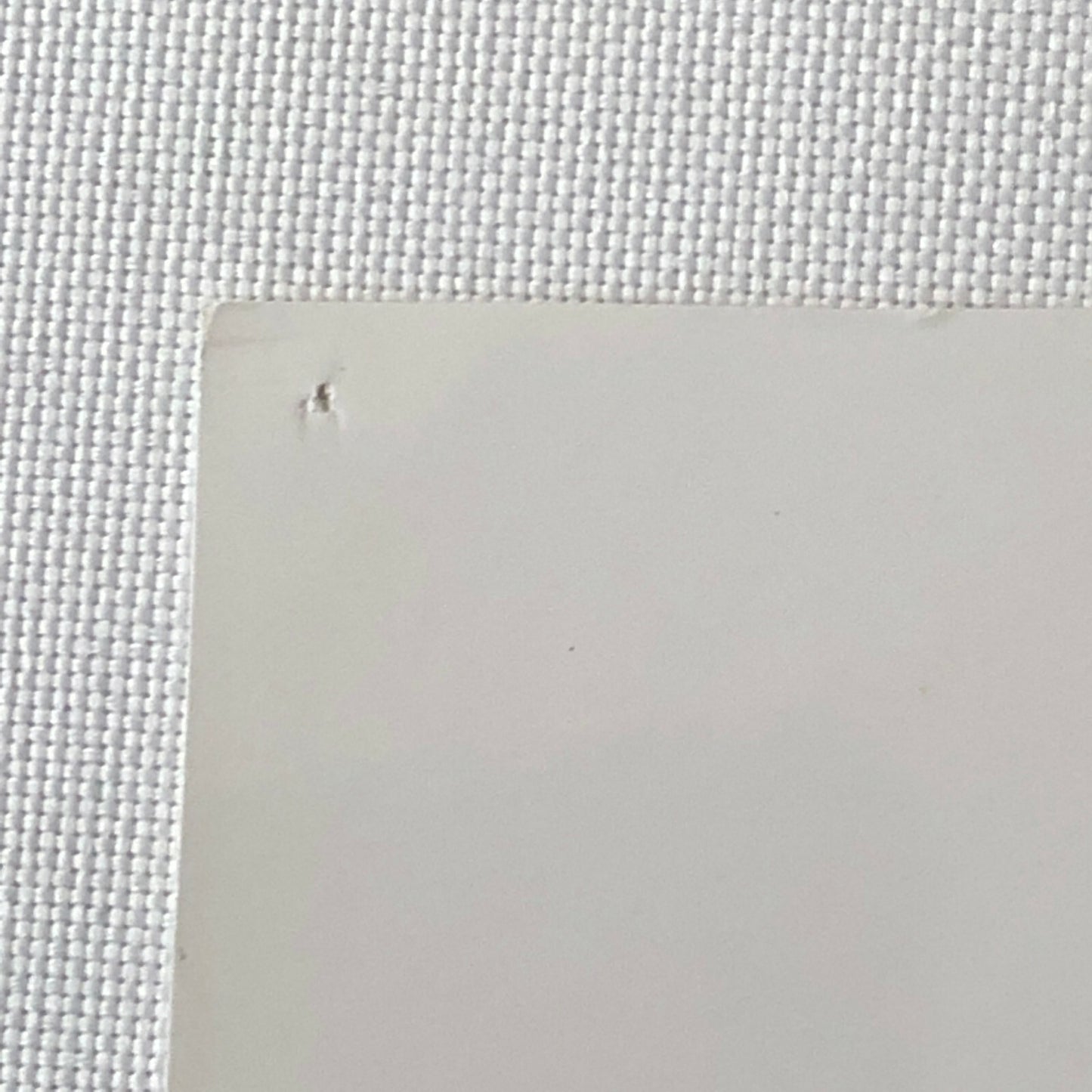 Vintage Racing Photo Photograph Stirling Moss Jack Brabham Australian Grand Prix