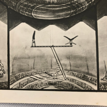 Circus Performer Acrobat Aerial Act Photo Photograph Tainy's Luft Sensation