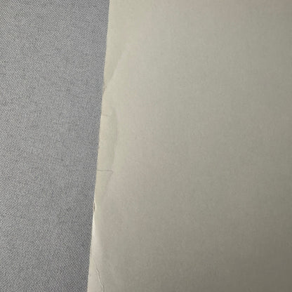 Vintage Movie Still Press Photo Photograph Marlene Dietrich Unidentified Actor