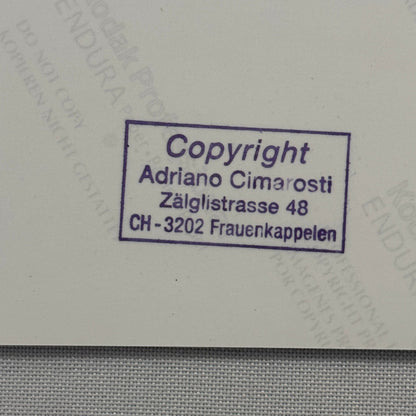 Abarth Alfa Romeo 1100 Pininfarina with Carlo Abarth 1957 Photo Photograph Print