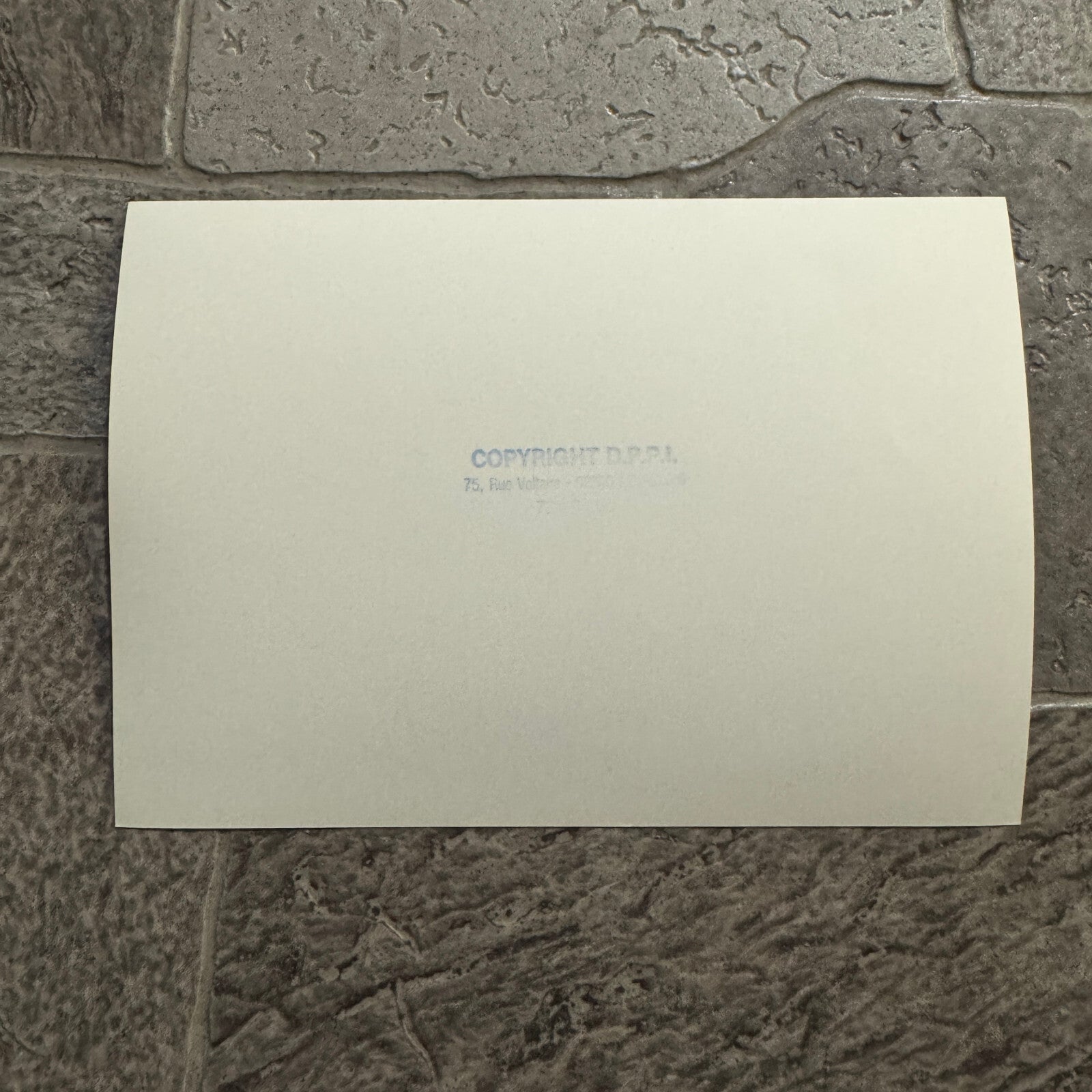 1980 RAC Rally Rallye Car Racing Photo Photograph Vintage Car