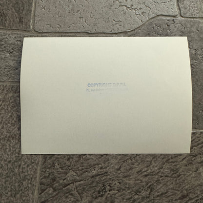 1980 RAC Rally Rallye Car Racing Photo Photograph Vintage Car