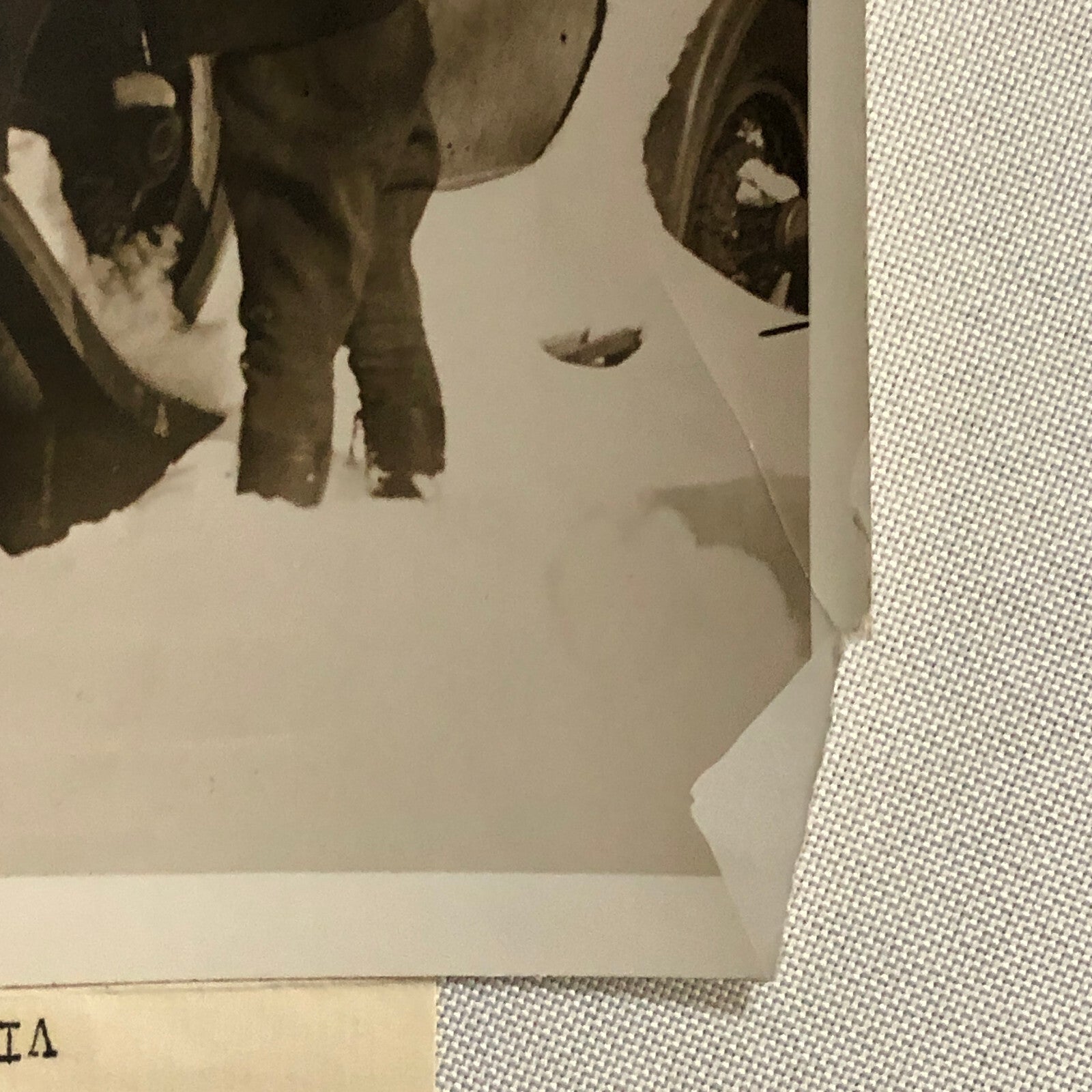 Press Photo Photograph Automobile Car in California Snow Storm Underwood Photo