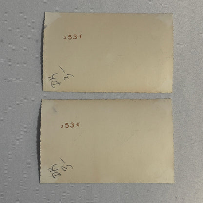 Vintage Automobile Photo Photograph Print Snapshot Car Lot 2x