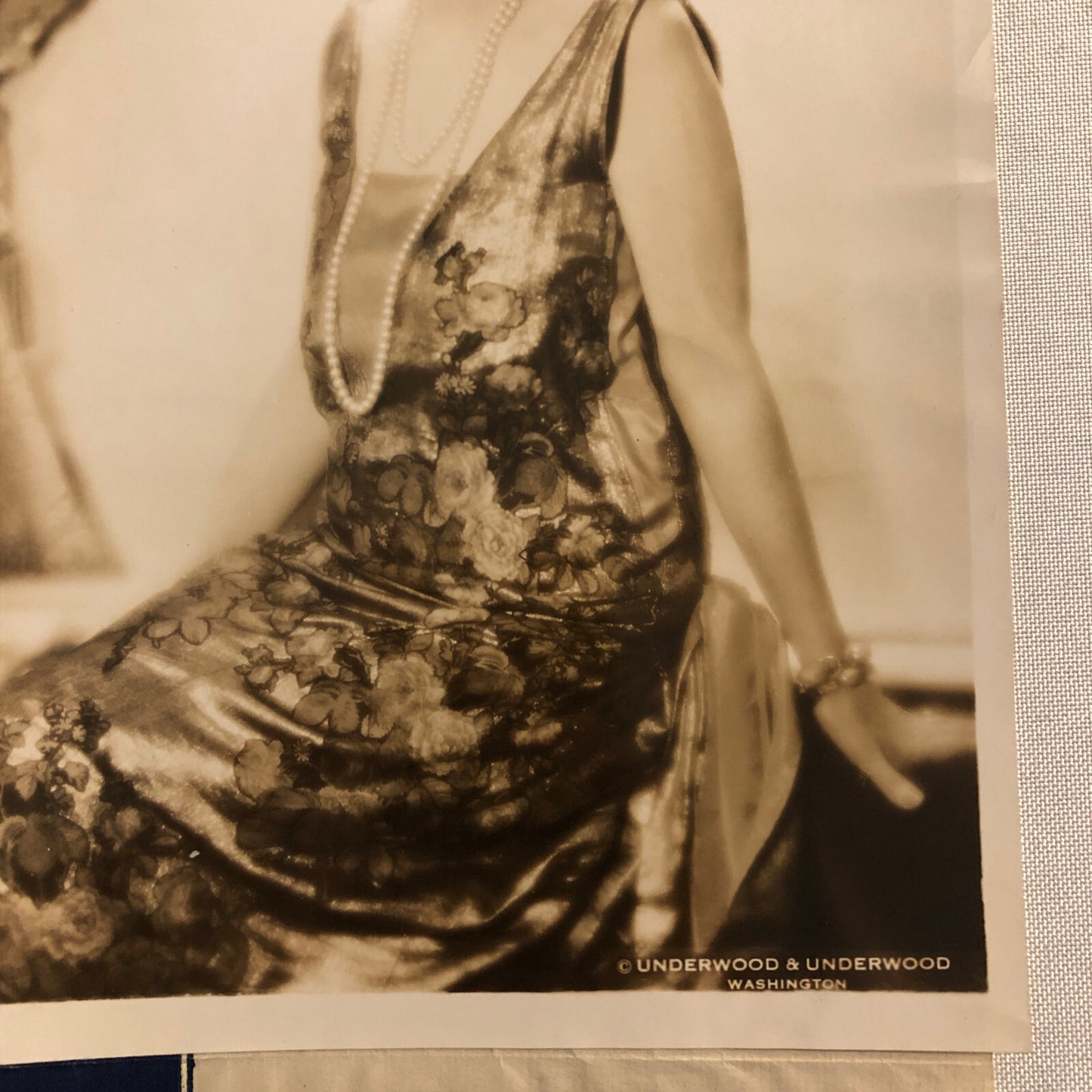 Press Photo Photograph Washington Society Leader 1929 Underwood & Underwood