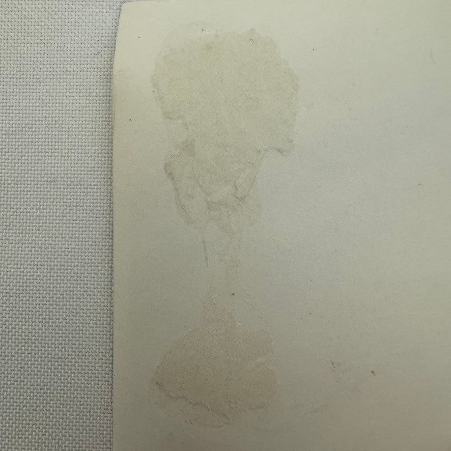 Vintage Cisitalia Car Photo Photograph Roadster Print