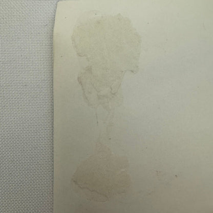 Vintage Cisitalia Car Photo Photograph Roadster Print